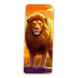 Lion
Safari